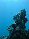 Curacao 04-12 306